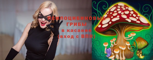 spice Балахна